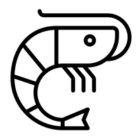 Carcinicultura